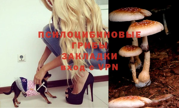 гидропоника Нея