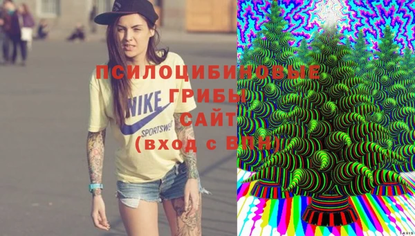 гидропоника Нея